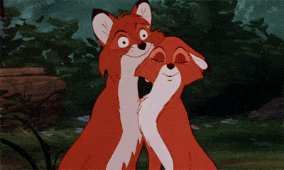 quinto-estagio-de-felicidade